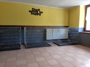 Kojce dla małych piesków