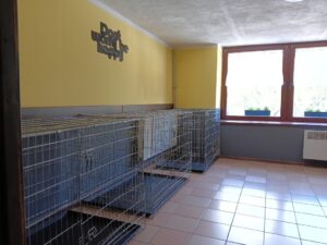 Kojce dla małych piesków